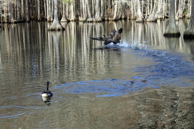 Be Anxious For Nothing