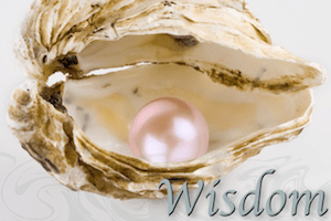 Wisdom