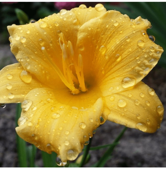 20151109_081929.png image